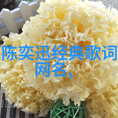 火星文个性网名-红尘漫步者探索火星风格的网络