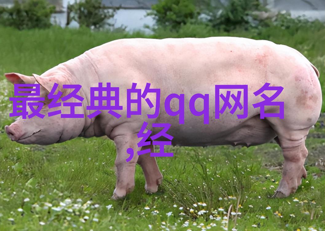 关于公孙离游戏名字