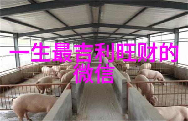 甜蜜浪漫爱情网名编织心跳与梦想的诗篇