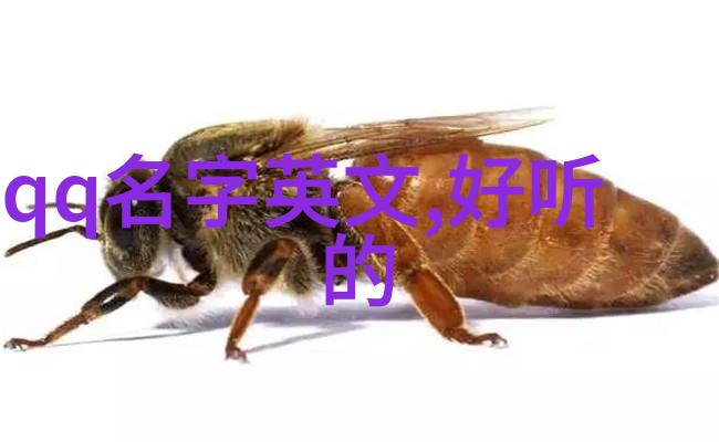 塑料之梦循环的悸动