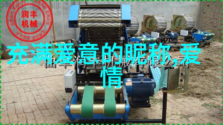 浪漫链接情侣网名的温馨选择