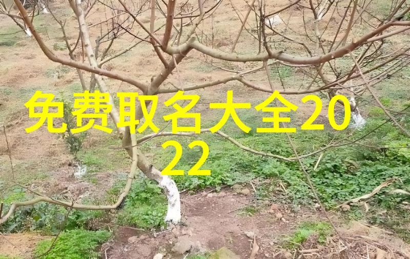 网名三字成就沙雕文化的独特魅力