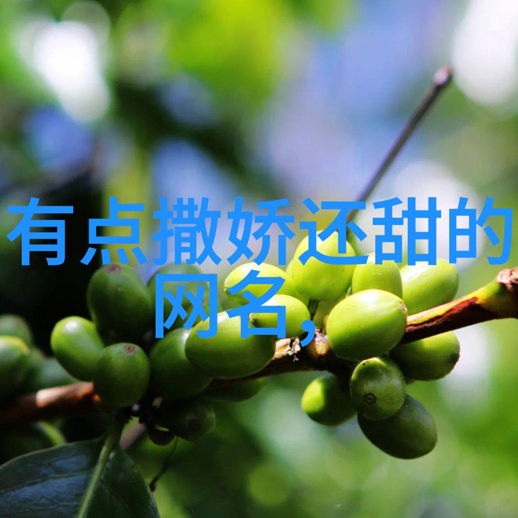 古风网名 - 墨水长廊里的字海深情探索有深意的古风网名文化