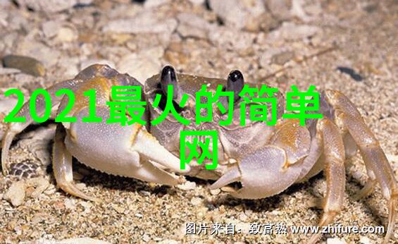 网海深情专一之名