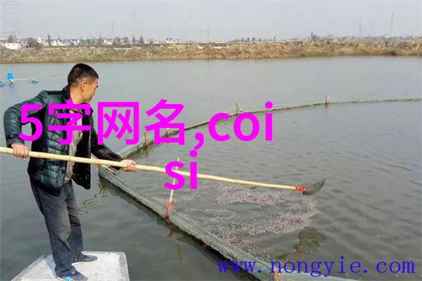 在虚拟世界的边缘她们用怎样的网名绽放着独特的光芒