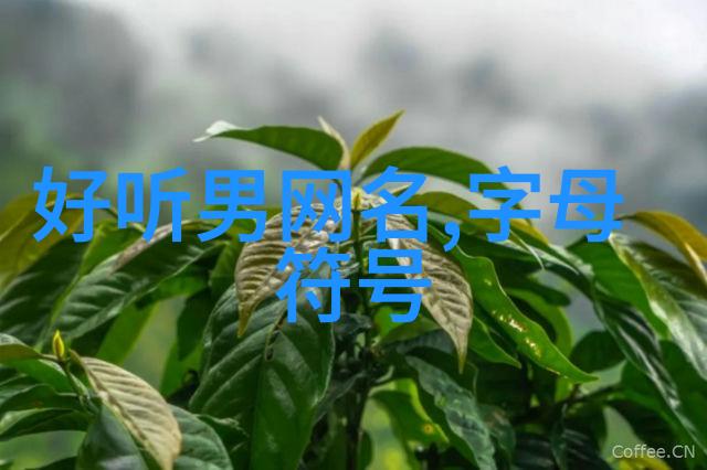 社交界面上的小巧灵魂微信个性网名的艺术探索