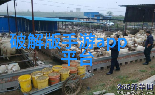 黄景瑜写真探索摄影师的艺术视角