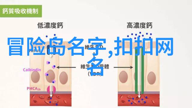 零落的芦花一个女孩的单一命名之谜