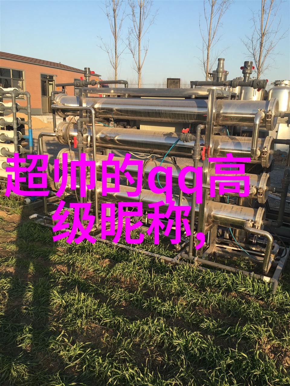 从字面到深意解读那些有趣又深刻的网名寓意