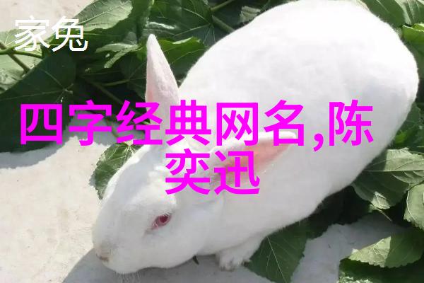 梦之花园设计一份独特的女生网名