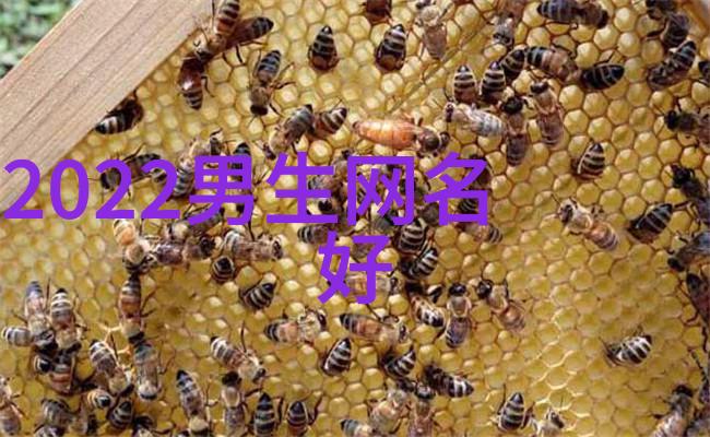 幸运网名秘籍揭秘那些能带来好运的网络昵称选择技巧