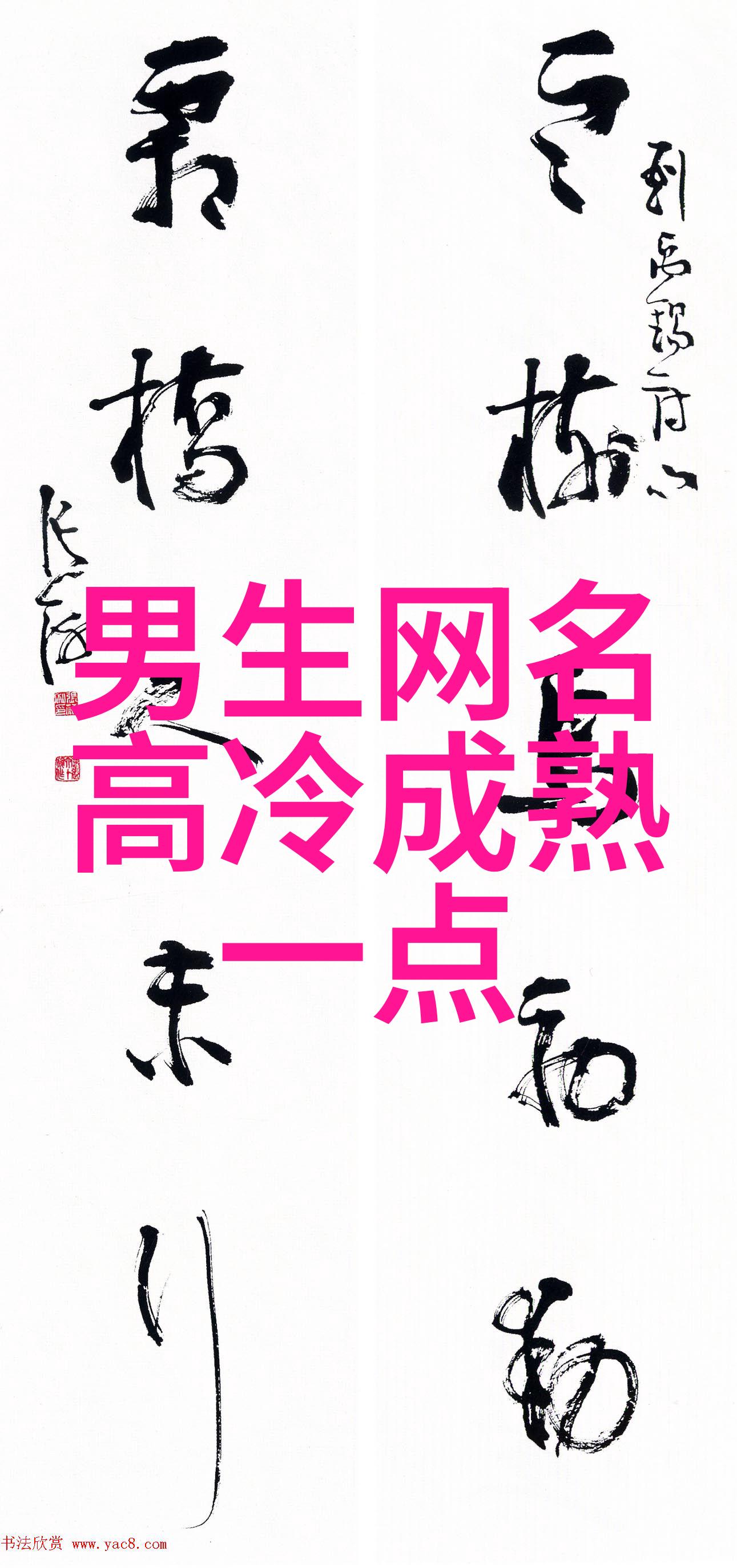 张伟的故事