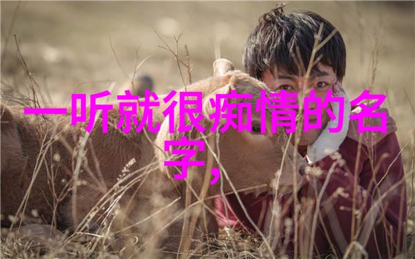 重生香港娱乐圈后宫的新篇章
