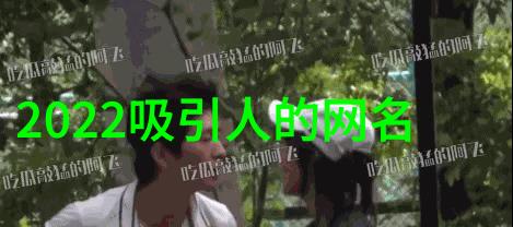 实施节能策略提高传统轴流泵效率方法论