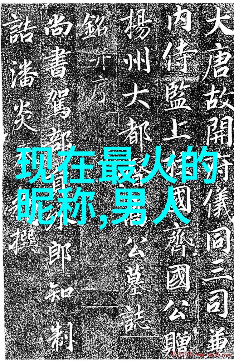 欧美刺激的情侣头像我俩的浪漫冒险从迷失在巴黎到撞车在纽约