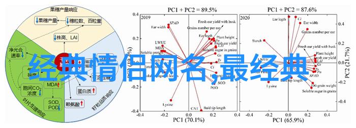花间月下探索传统与现代交融下的四字名字艺术