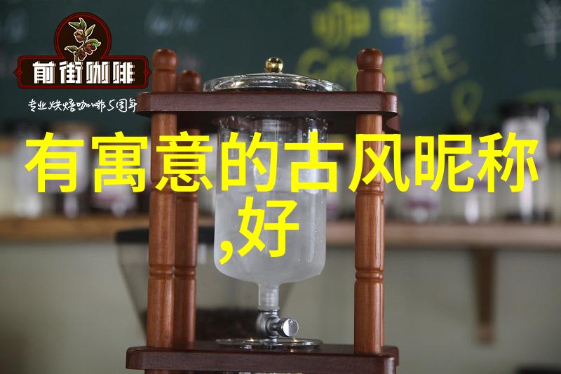 应用场景丰富功能强大的永久型排污装置