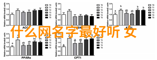 游戏天地虚拟世界的探险与乐趣