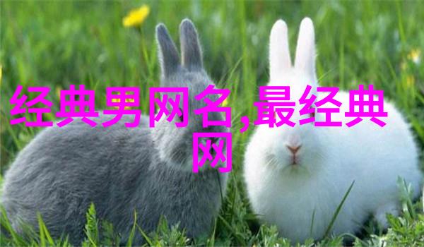 网络上的倾诉者网名背后的伤感故事