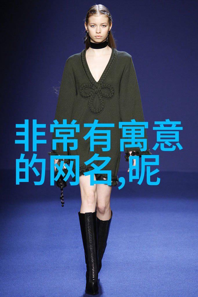 在网络的海洋中哪些小众好听的网名能够引起人