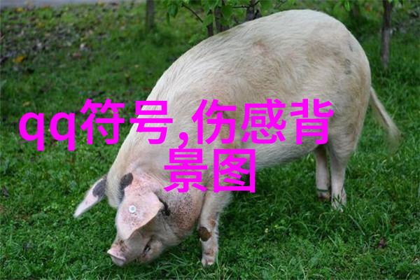 趣味英语名单-1000个好听的男生英文名大全探索全球风情的名字