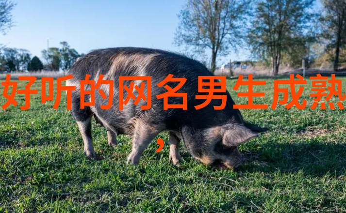 幽默的昵称我是不是太搞笑了我的网名故事