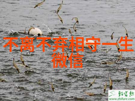 2021成熟男性探索微信名的新境界