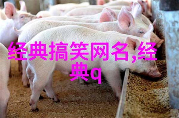 冰心独游高冷女生网名的魅力与秘密