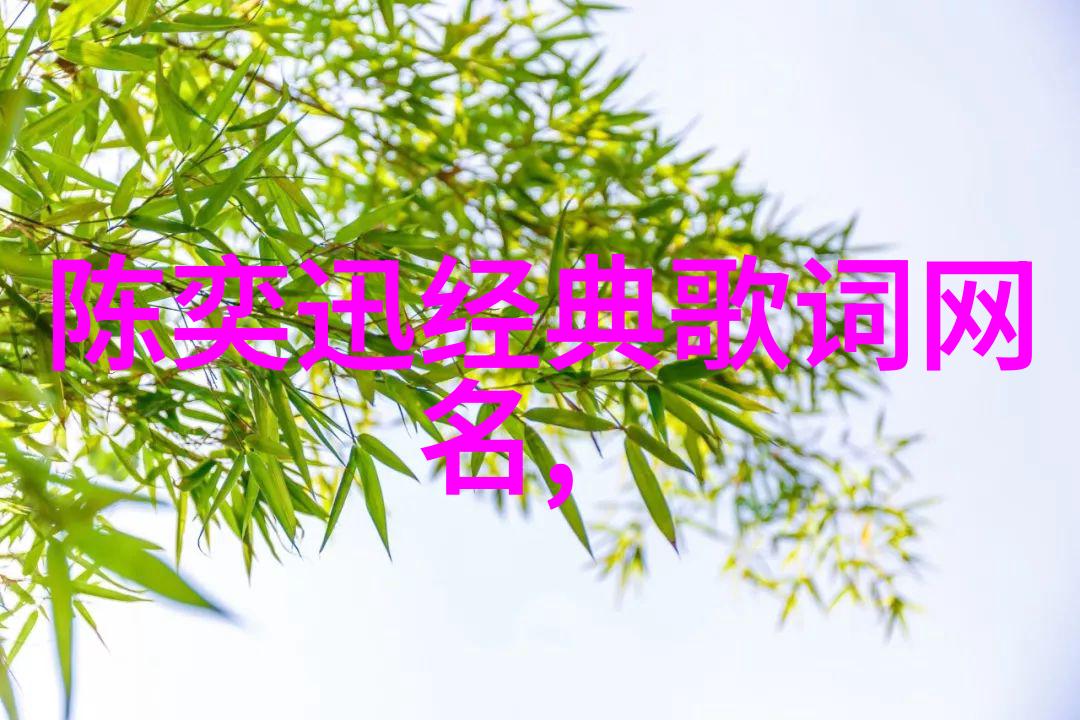 逆风少年追逐梦想的不屈之心