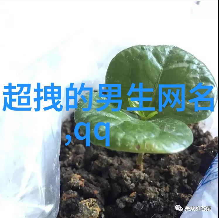 主题我和尚公主的奇幻冒险