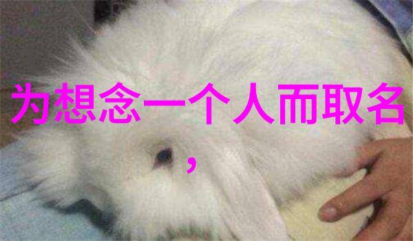 楚辞女孩大气文雅的风范