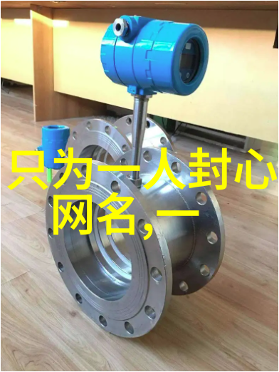 稀有情侣网名爱与孤寂的交响曲