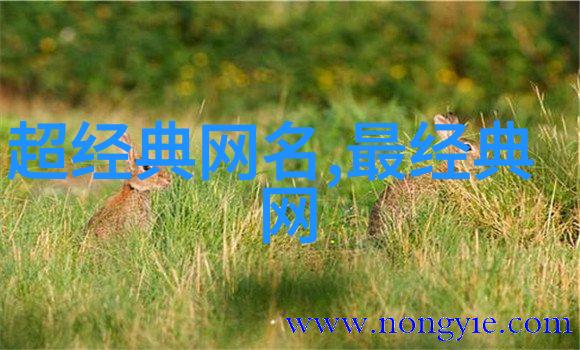沙雕网名女生的搞怪短文能带来什么样的阅读体验