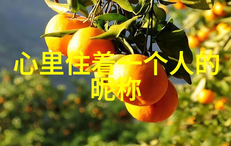 运气好运来-微信号秘籍揭秘那些带来好运的数字组合
