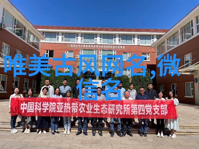 旋律魅力揭秘好听3个字骚气背后的故事