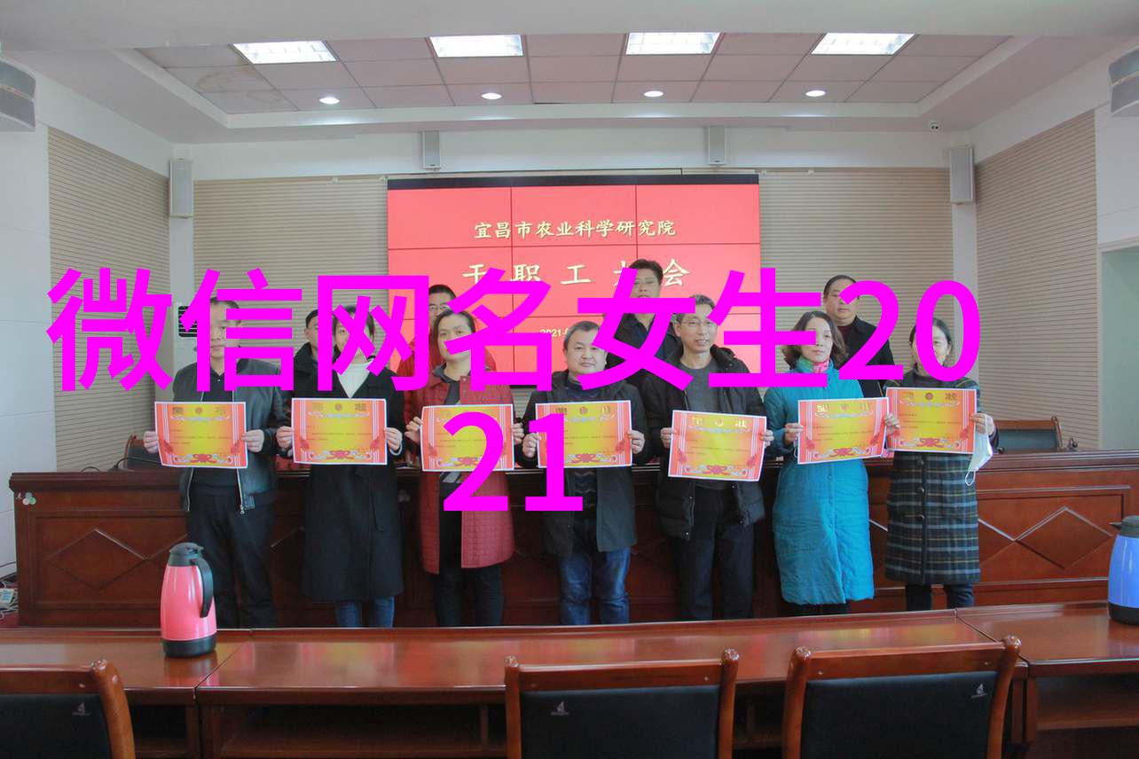 QQ女生网名的魅力与艺术