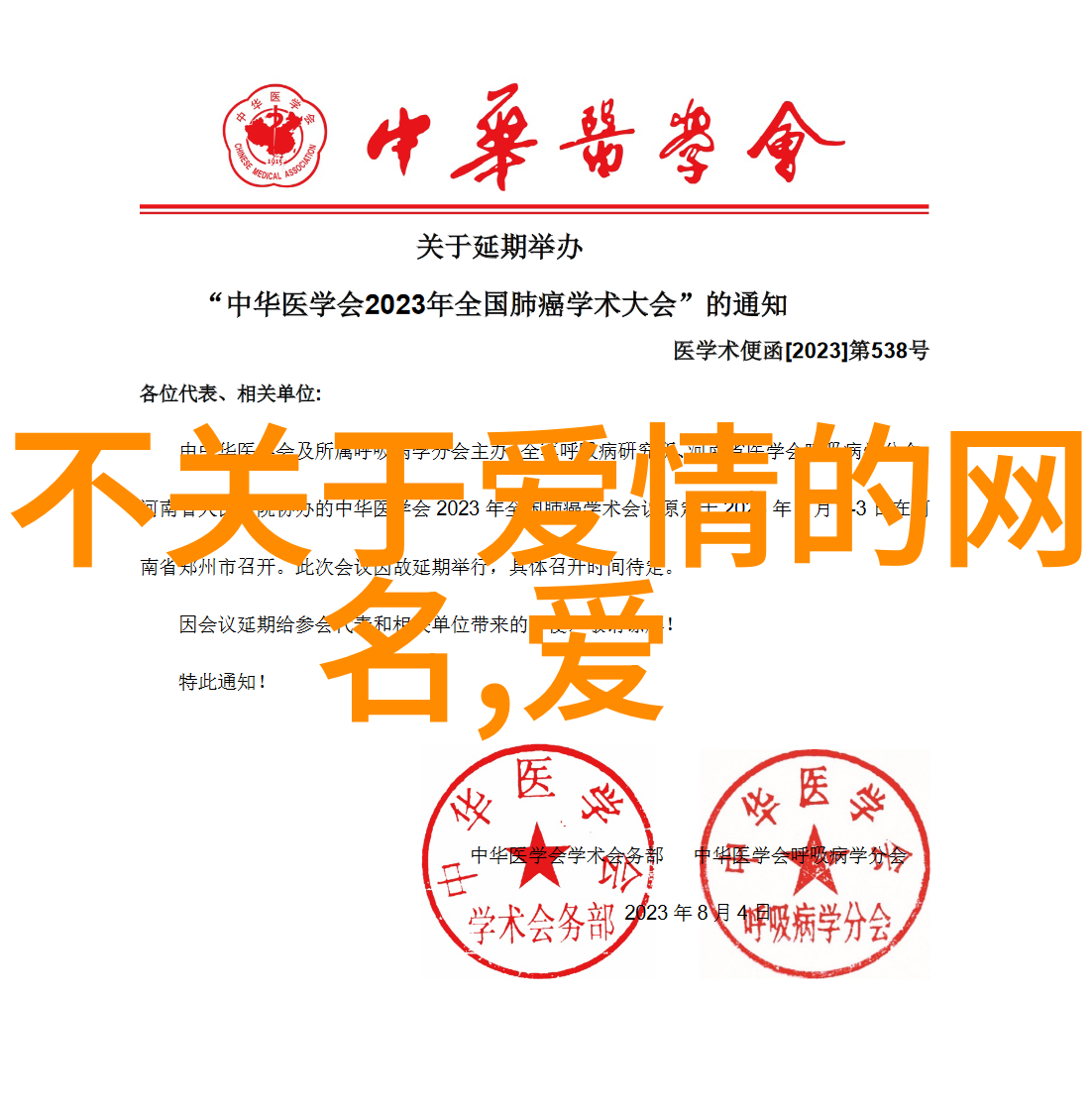 浪漫情缘月光下的诗意交响