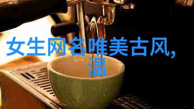 情侣网名-诗意双字编织爱情的网络之韵