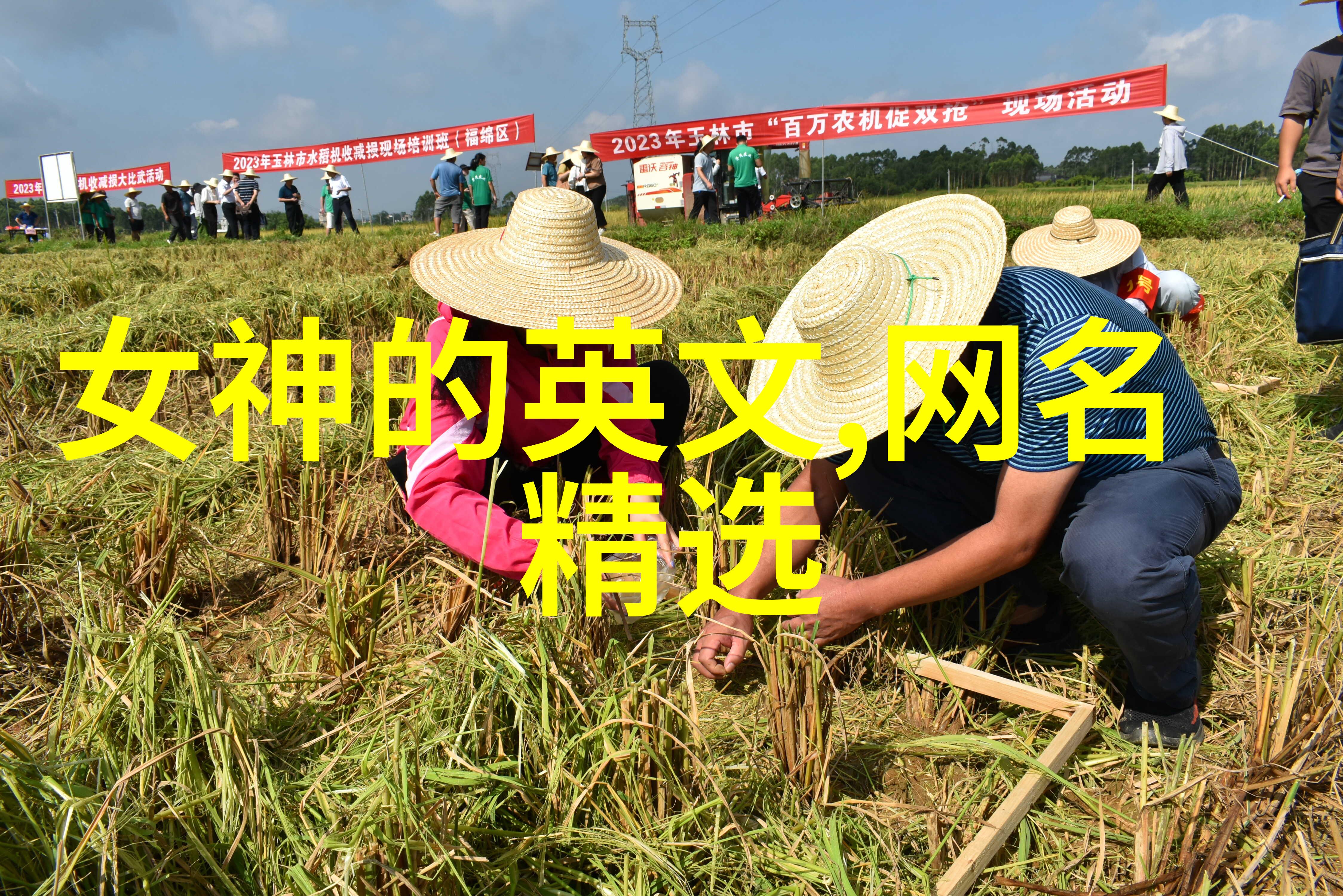 一个字高冷网名我叫泪