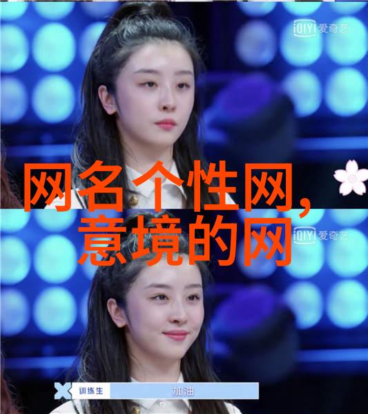 女孩子有气质有韵味的网名适合用在优雅气质女生物品上