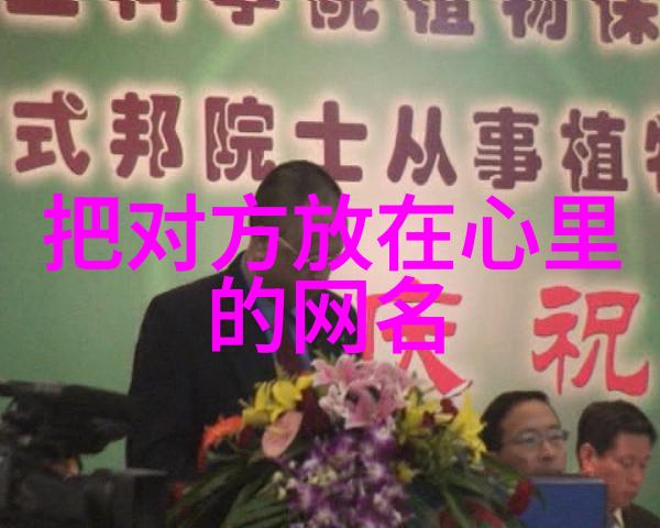 夫妻刺激战场网络征途中的爱与挑战