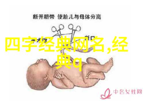 诗意浪漫探索最具诗意的网名之美