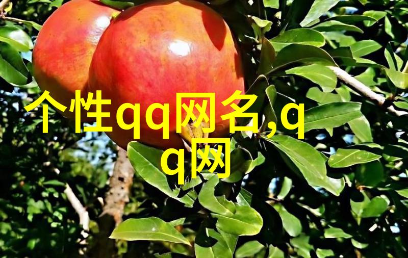 两人相爱到老的网名我和她从小号到大侠我们的网络情缘