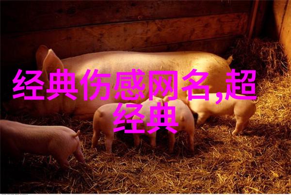 好听又霸气的网名女生u-Mayday