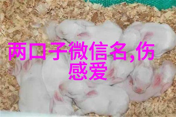 吃鸡网名女虚拟世界中的美丽传奇