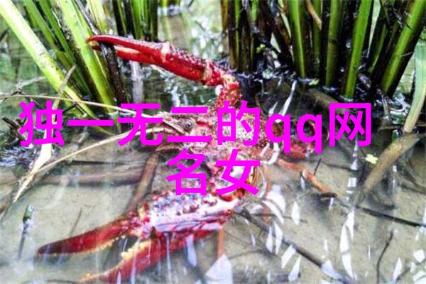 2021年网名热度之谜哪些名字成为了青春的代名词