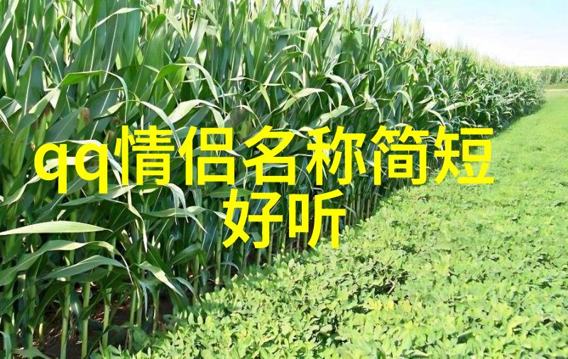情侣生活中的小动物大英雄共建幸福家园