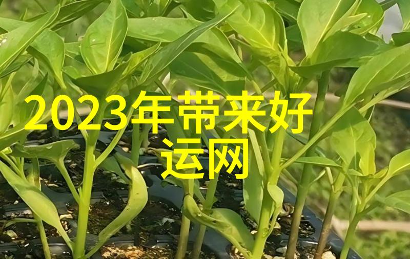随着技术进步未来几年中我们可以期待液力耦合器发展成什么样子