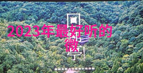 旋转阀老王的机械小伙伴