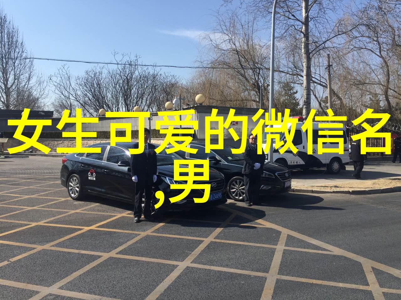 生活无忧的秘诀Yolo的故事
